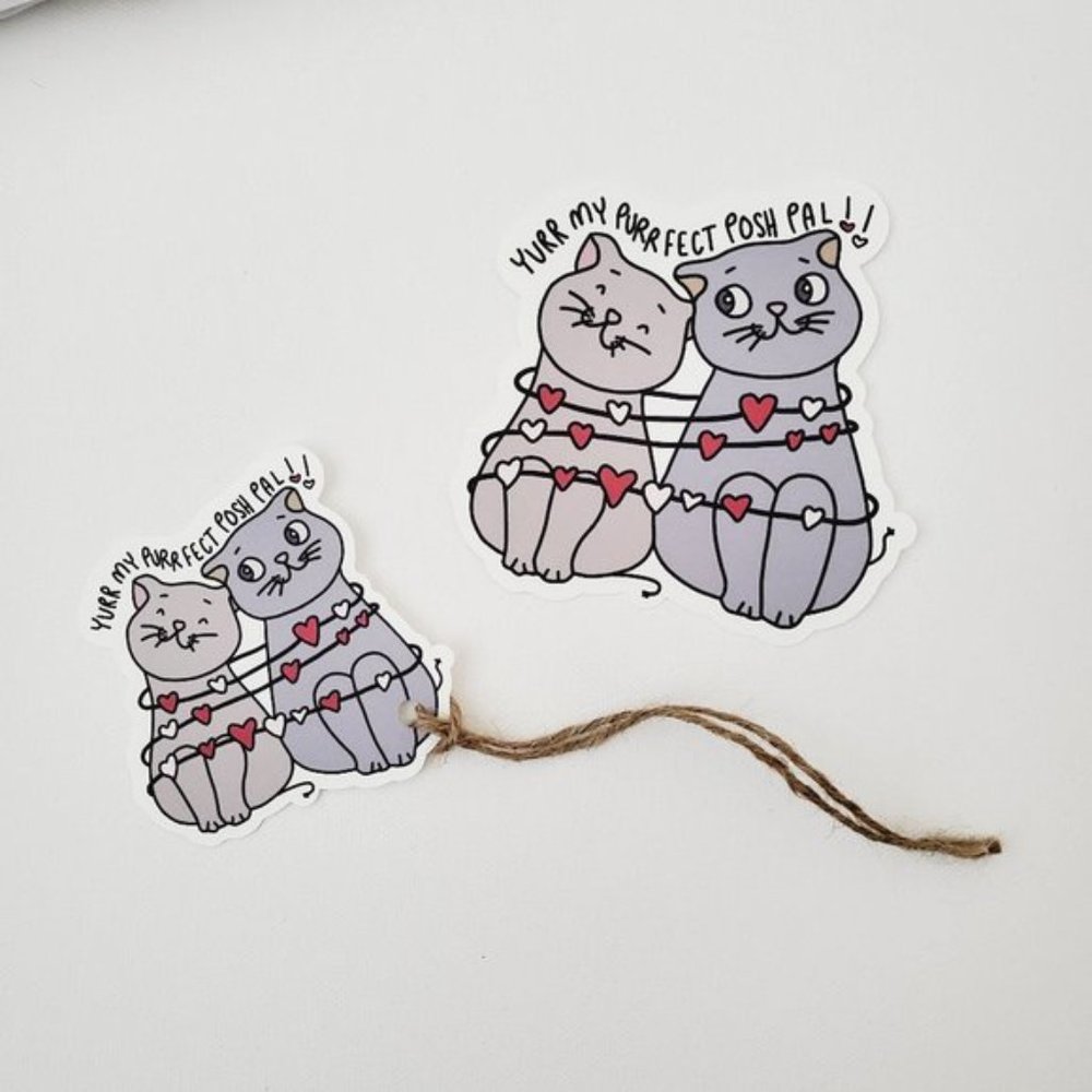 LB058 HANG TAGS Yurr My Purrrfect Posh Pal Cat Animal Lover Friend [Price Firm] - Picture 3 of 7